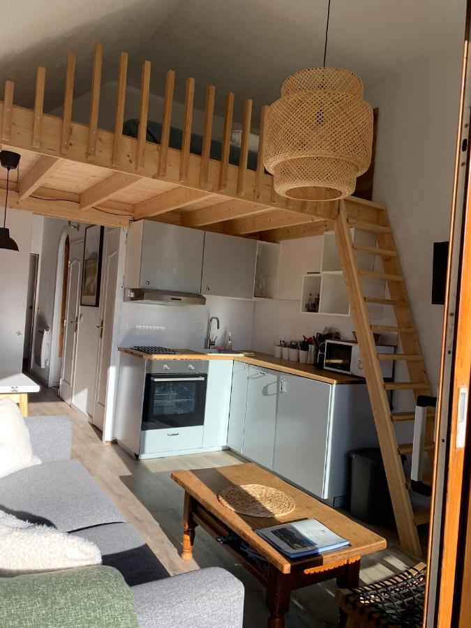 Appartement Vue Imprenable Avec Emplacement Ideal Les Deux Alpes Exterior foto